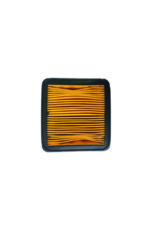 FILTRO DE AIRE TVS 180